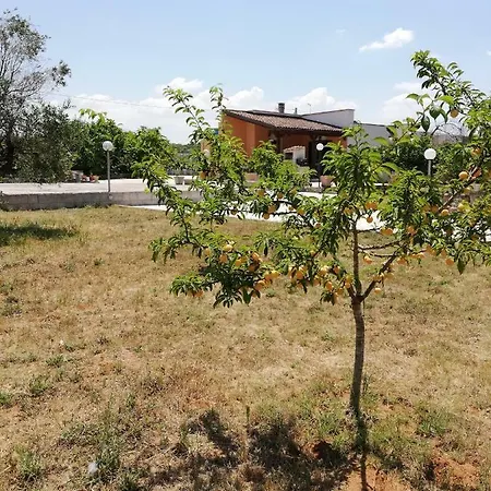 Holiday home Sergio